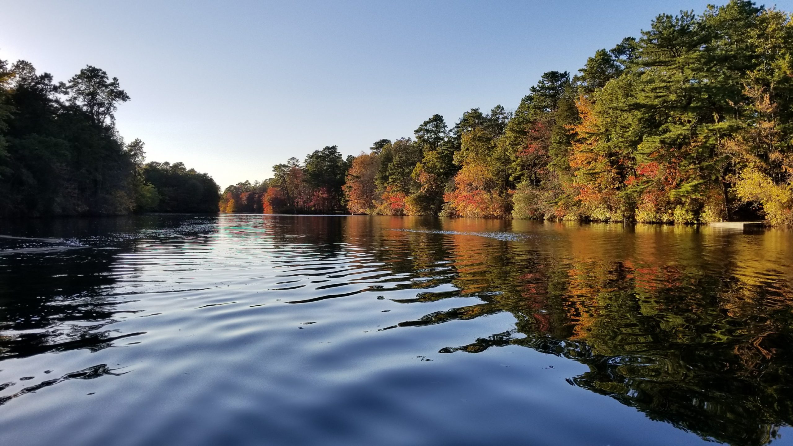 Braddock's Mill Conservation Association