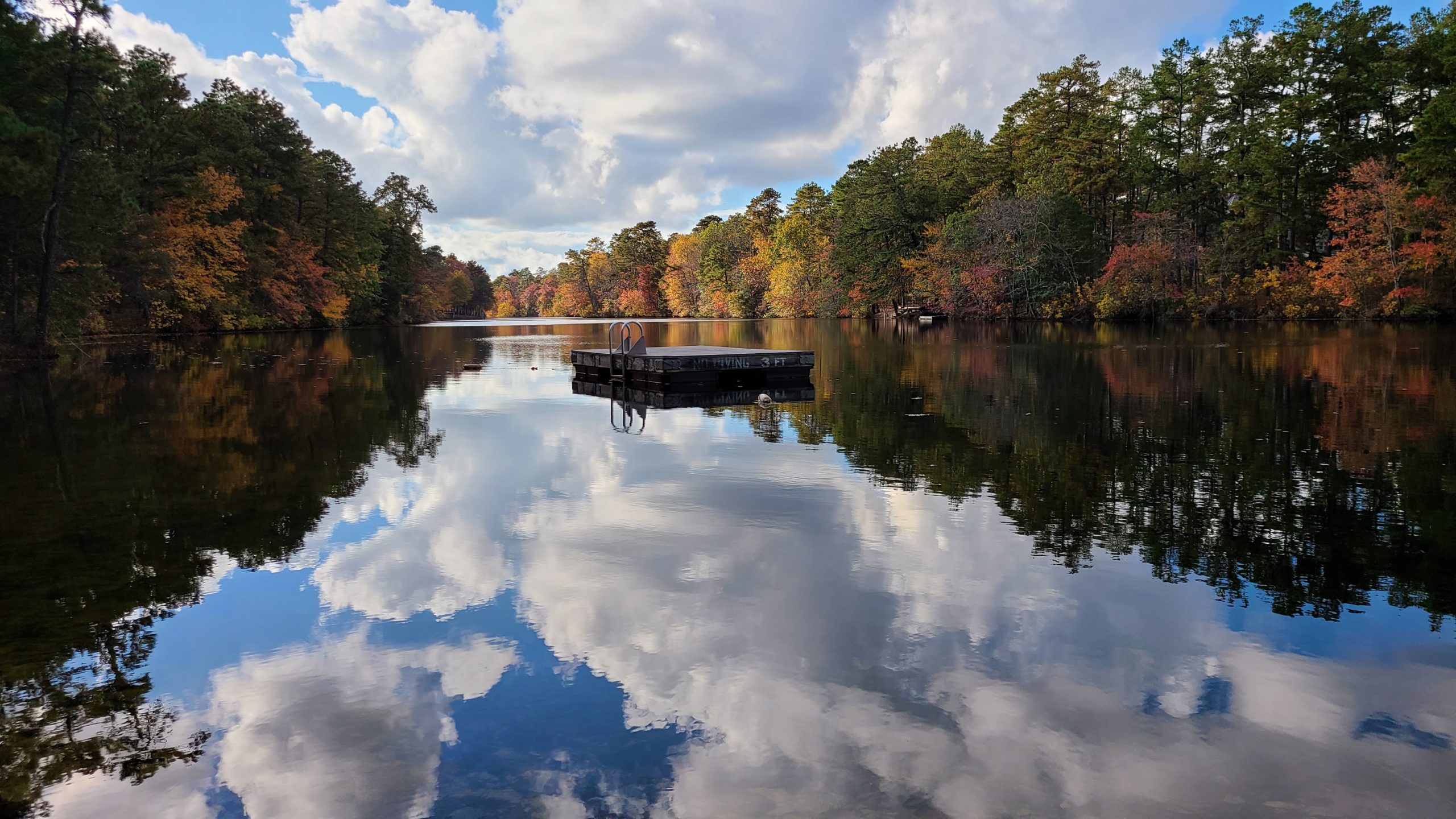 Braddock's Mill Conservation Association